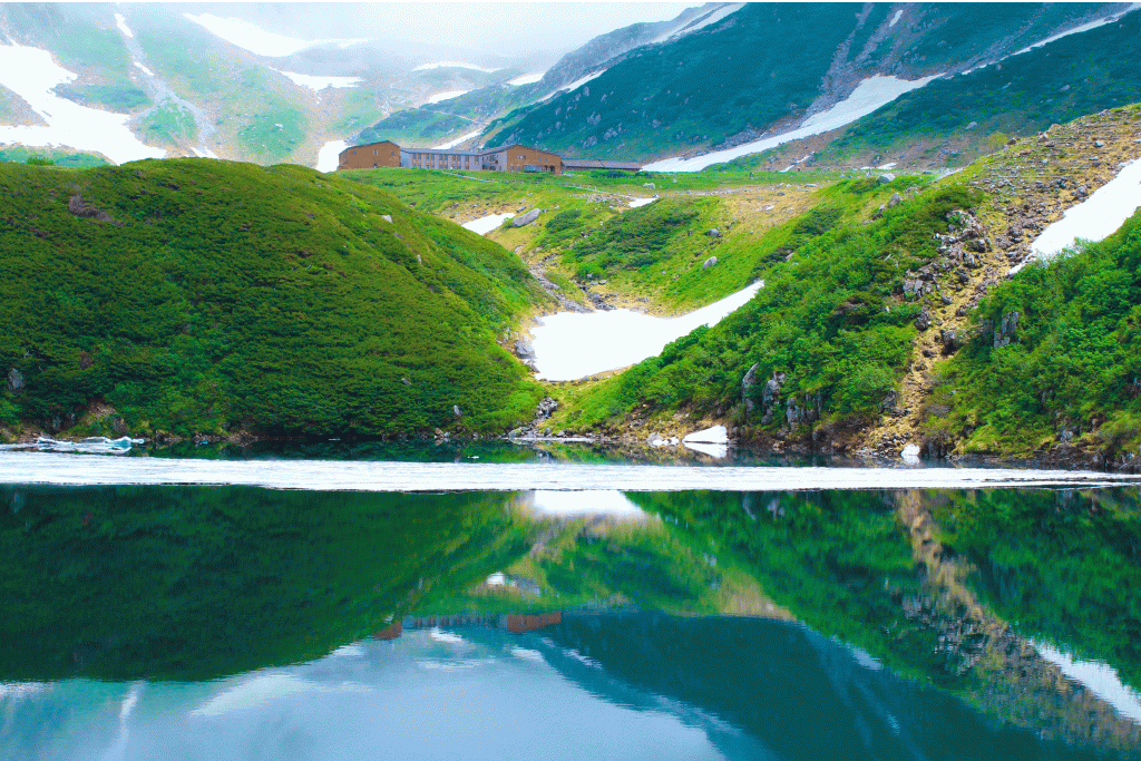 A Guide to Murododaira at Tateyama Kurobe Alpine Route in Toyama